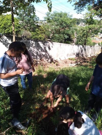 UFFS e Escola Agua Verde realizam plantio de árvores através projeto Ponto De Cultura